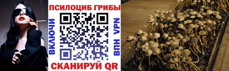 Псилоцибиновые грибы прущие грибы  Северодвинск 