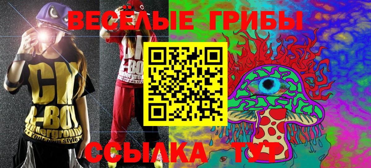 Псилоцибиновые грибы Magic Shrooms  Вход с VPN  Северодвинск  магазин продажи наркотиков  Псилоцибиновые грибы мухоморы 